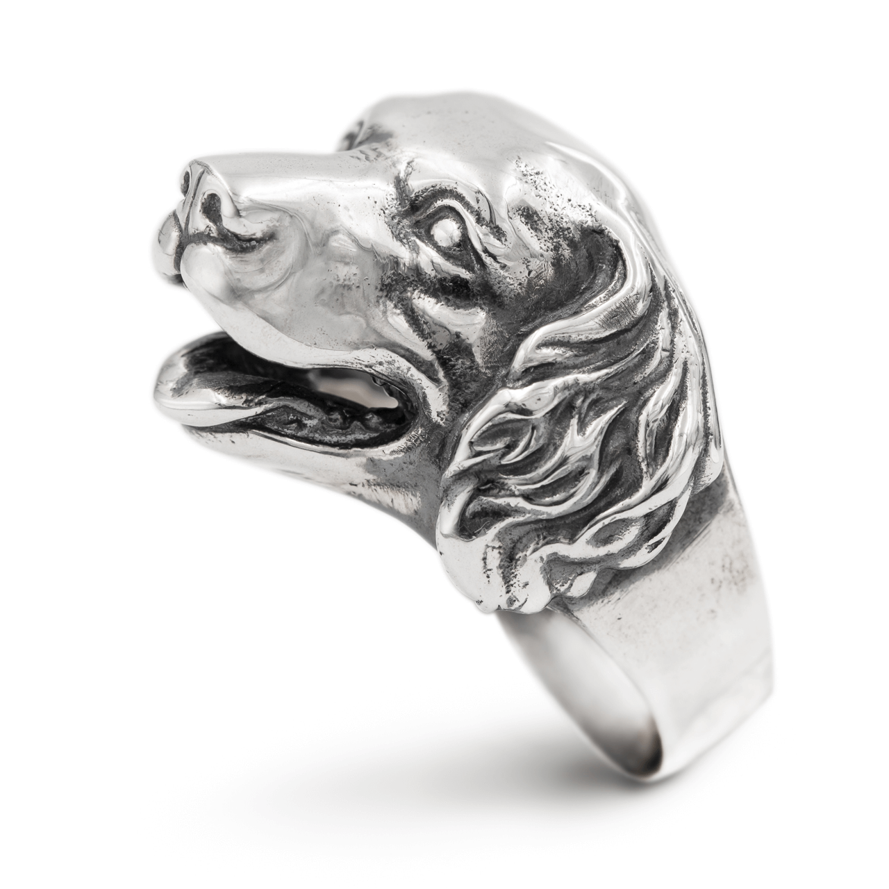 Golden Retriever Silver Ring